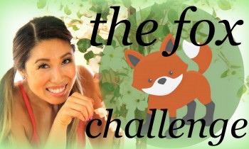 The Fox Challenge