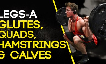 LEGS-A: GLUTES, QUADS, HAMSTRINGS & CALVES