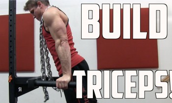 Tricep Workout (BUILD MUSCLE) – Scott Herman