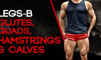 LEGS-B: GLUTES, QUADS, HAMSTRINGS & CALVES (#SHREDCHALLENGE)