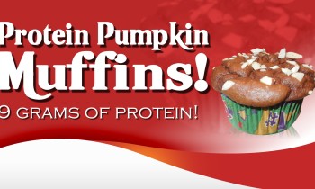 Protein Pumpkin Muffins! Low Carb With Protein Recipe!