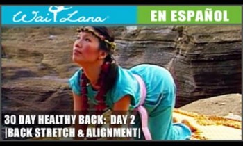 30 Day Yoga for Healthy Back | Wai Lana- Day 2: Back Stretch- Estira y alinea la espalda