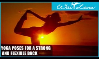 Yoga Poses for a Strong and Flexible Back: Wai Lana Yoga