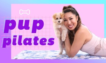 Pup Pilates: How to workout at home with your dog!