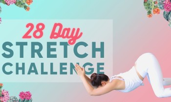 28-Day Stretch Challenge. You in?