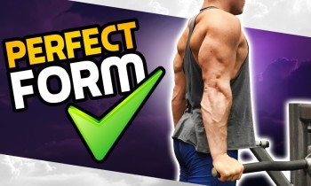 How To: Chest OR Triceps Dip! 3 GOLDEN RULES! (MADE BETTER!)