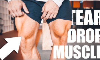 LEG DAY TRAINING – VASTUS MEDIALIS